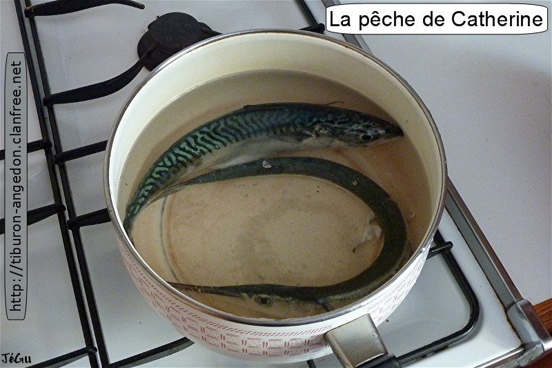 Parfait pour la salade composée du soir ...