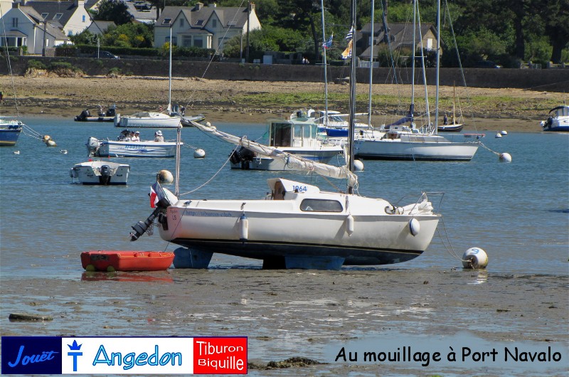 Vive les biquilles !!!