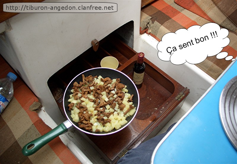 Pommes de terre et giroles !!